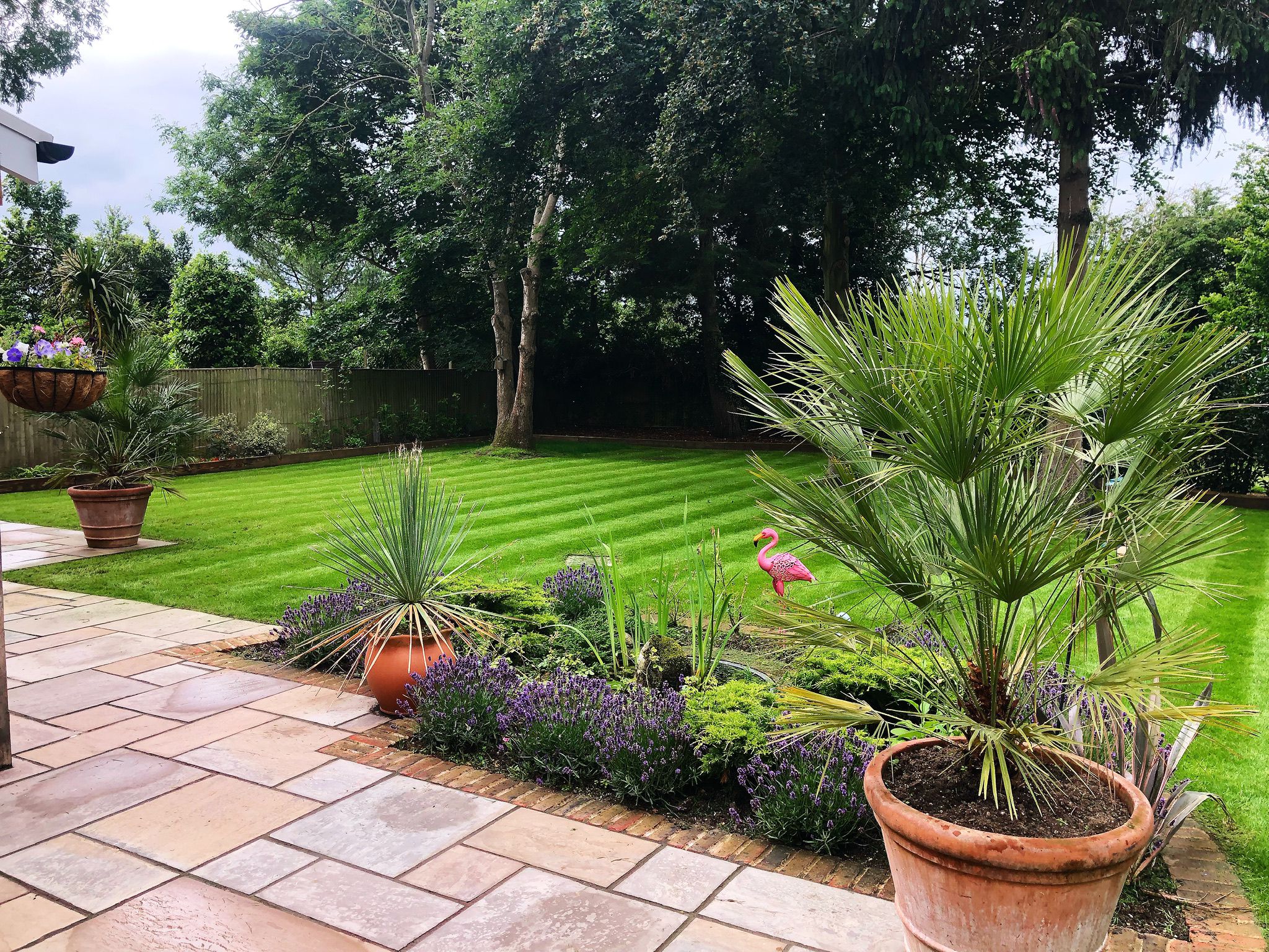 by George Garden Care